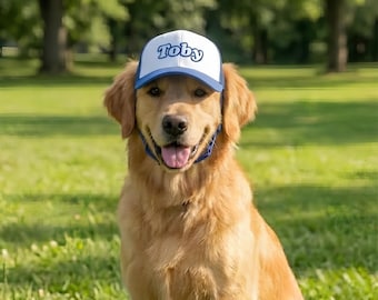 Custom Dog Hat With Name - Foam Trucker Caps For Dogs - Funny Dog Outfit Gift