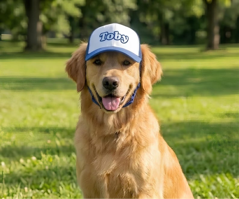 Custom Dog Hat With Name - Foam Trucker Caps For Dogs - Funny Dog Outfit Gift
