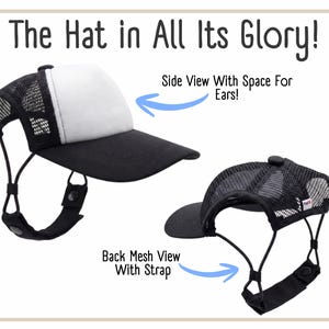 Side and back of hat