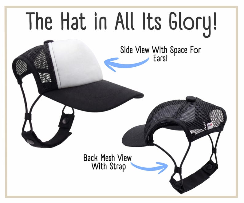 Side and back of hat