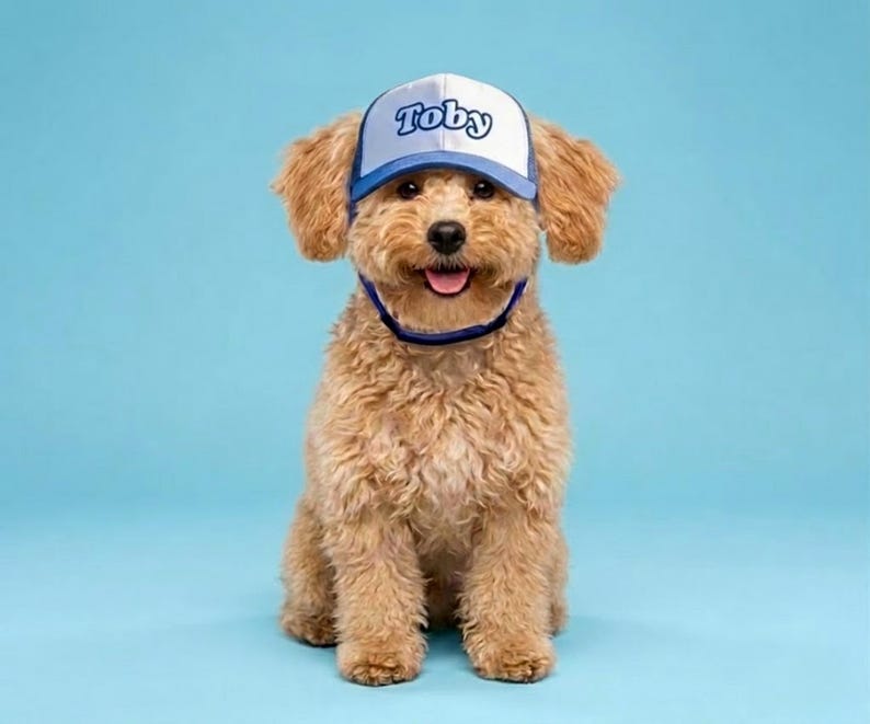 Custom Dog Hat With Name - Foam Trucker Caps For Dogs - Funny Dog Outfit Gift