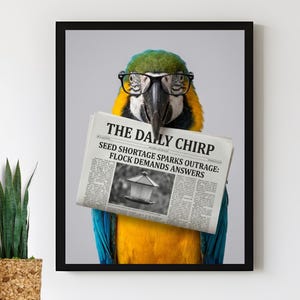 Parrott in glasses with newspaper - - funny  bathroom print