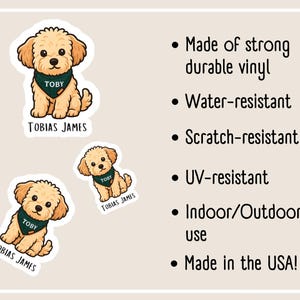 sticker details
