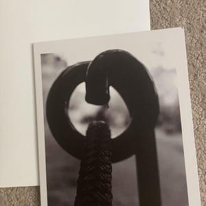 blanc, cartes de correspondance, cartes avec photo, nature, lever du soleil, Boston, photographie, papillons