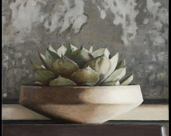 White Mexican Rouse 30x30 inch Framed