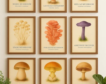 Mushroom Watercolor Print Set: Vintage Botanical Fungi Art (Digital Download