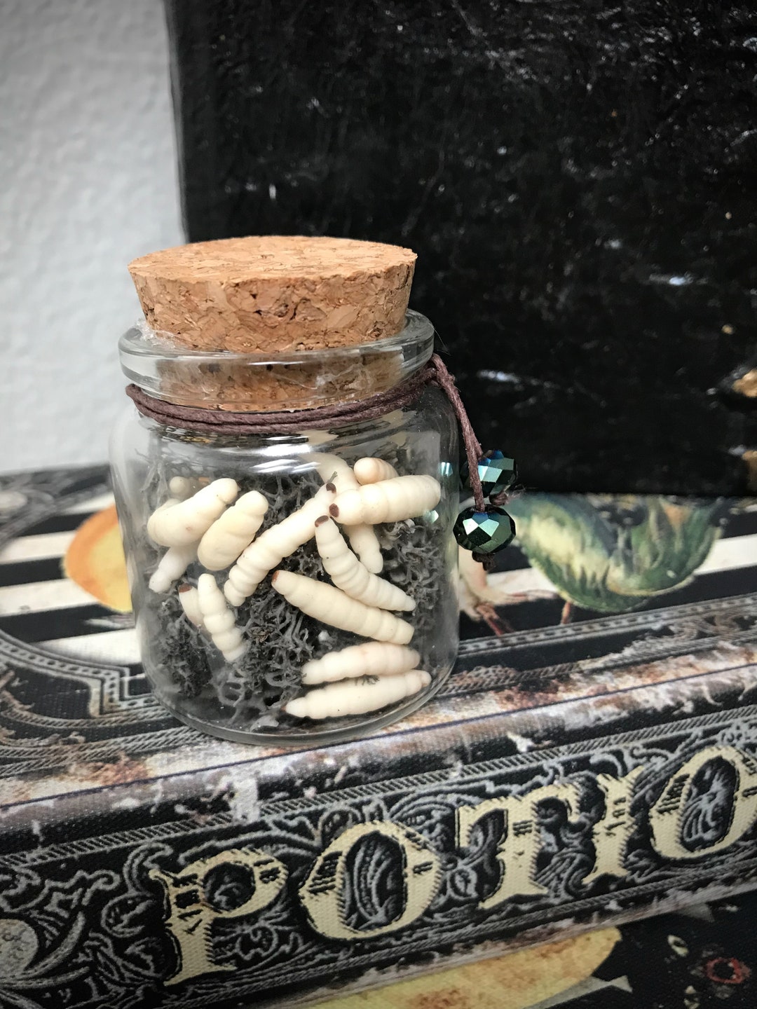 Coffin Maggots Apothecary Jar / Realistic Maggots for Etsy