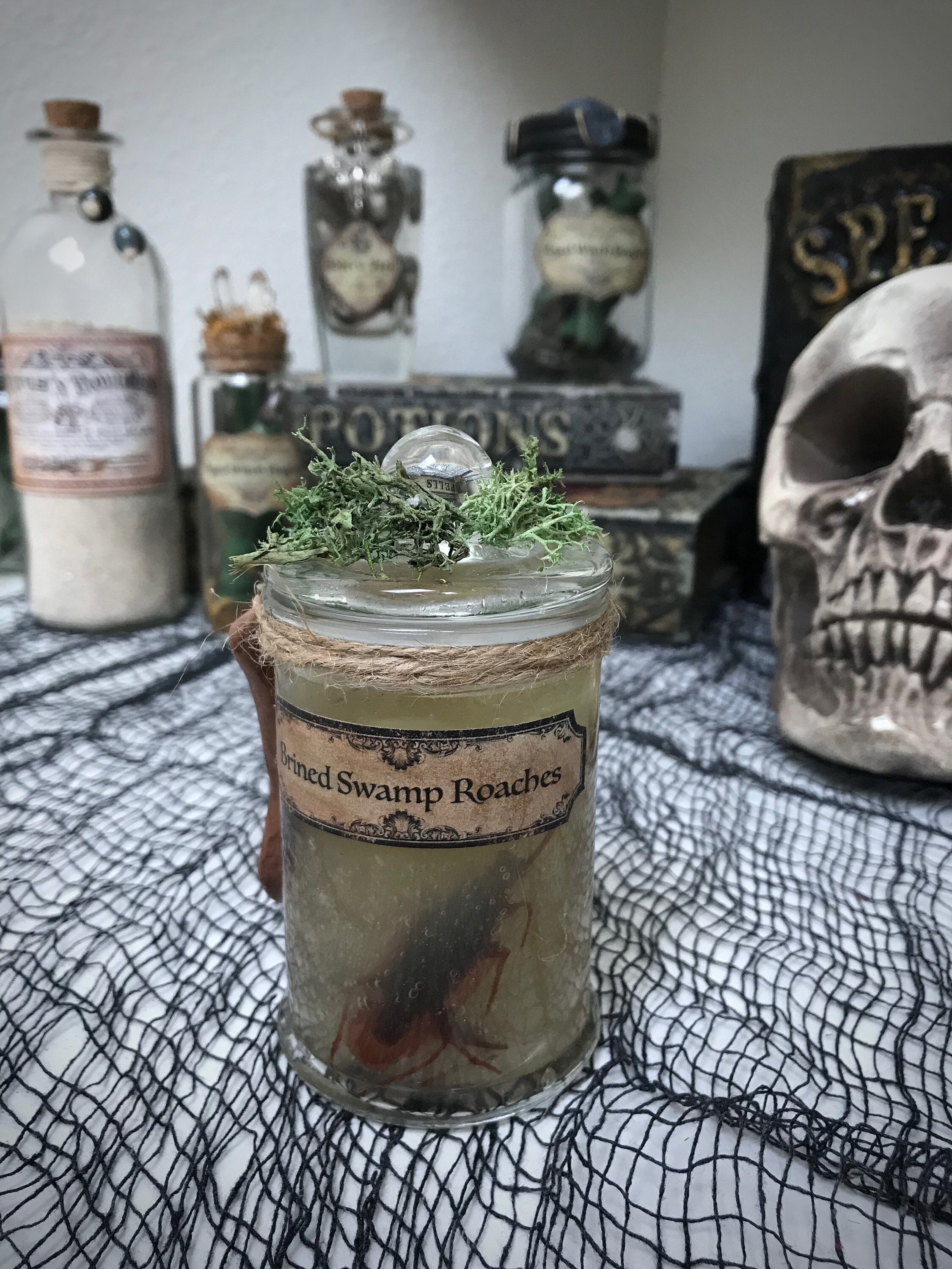 Brined Swamp Cockroaches / Potion Ingredients / Halloween Apothecary