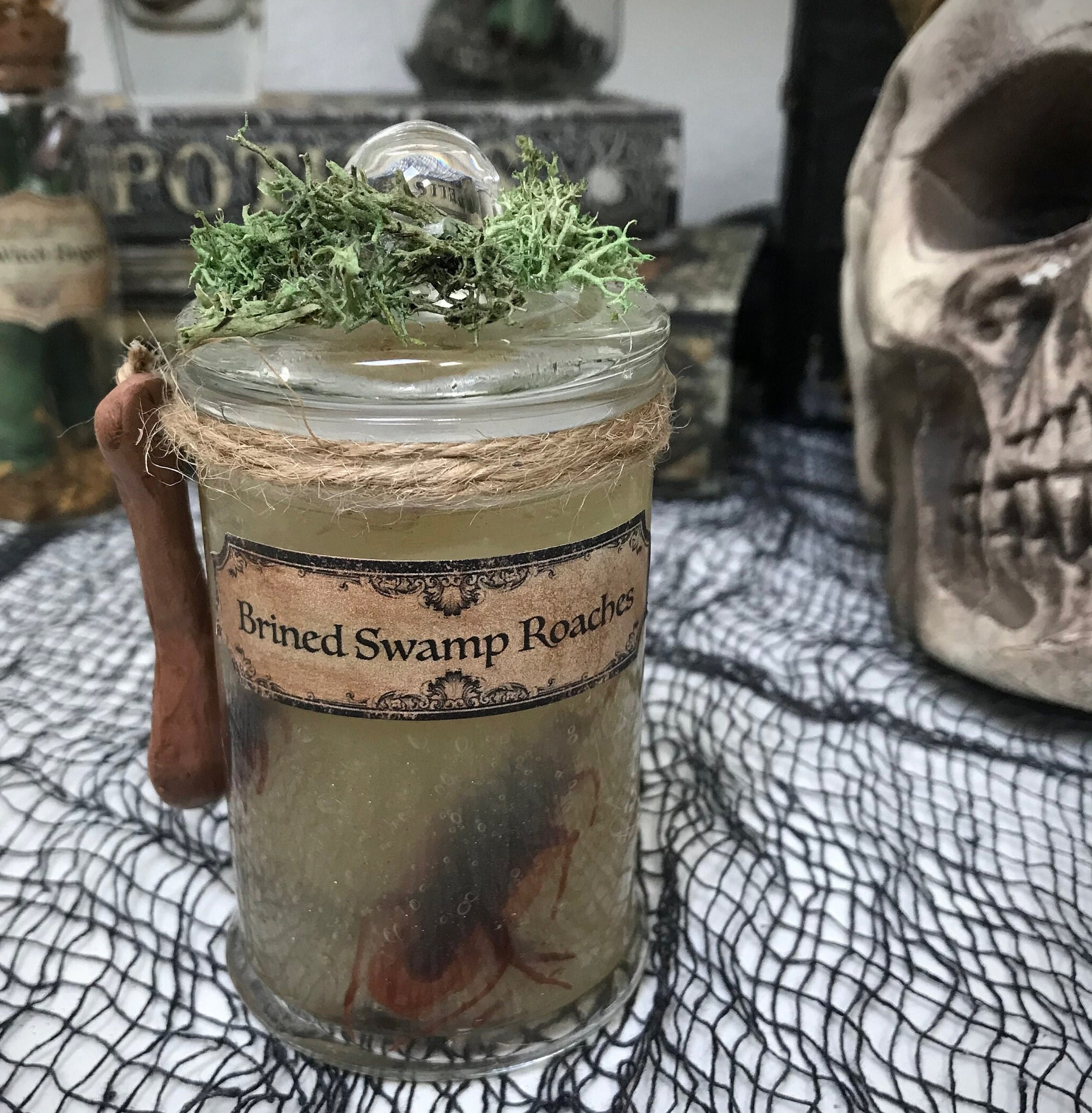 Brined Swamp Cockroaches / Potion Ingredients / Halloween Apothecary