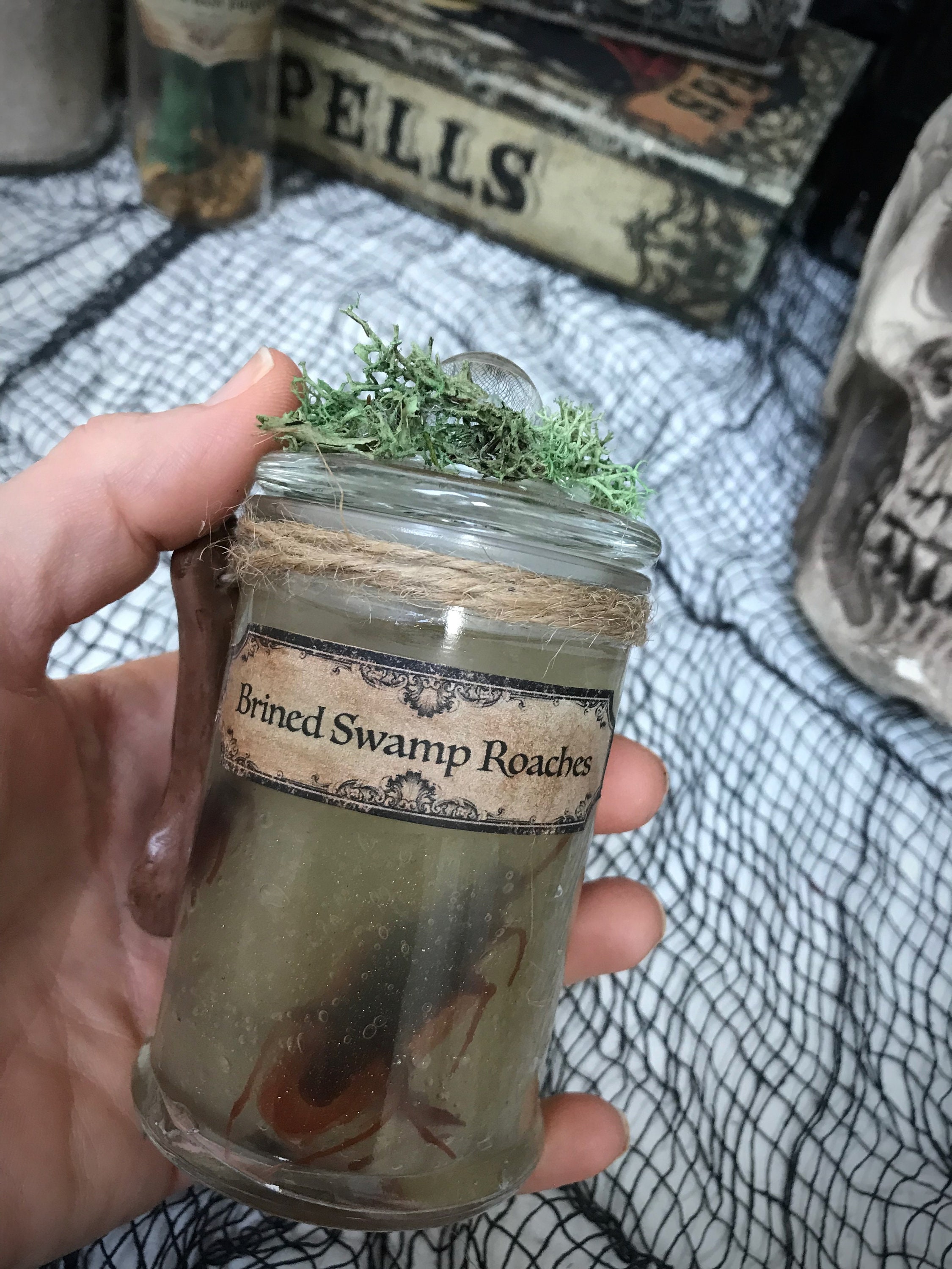 Brined Swamp Cockroaches / Potion Ingredients / Halloween Apothecary