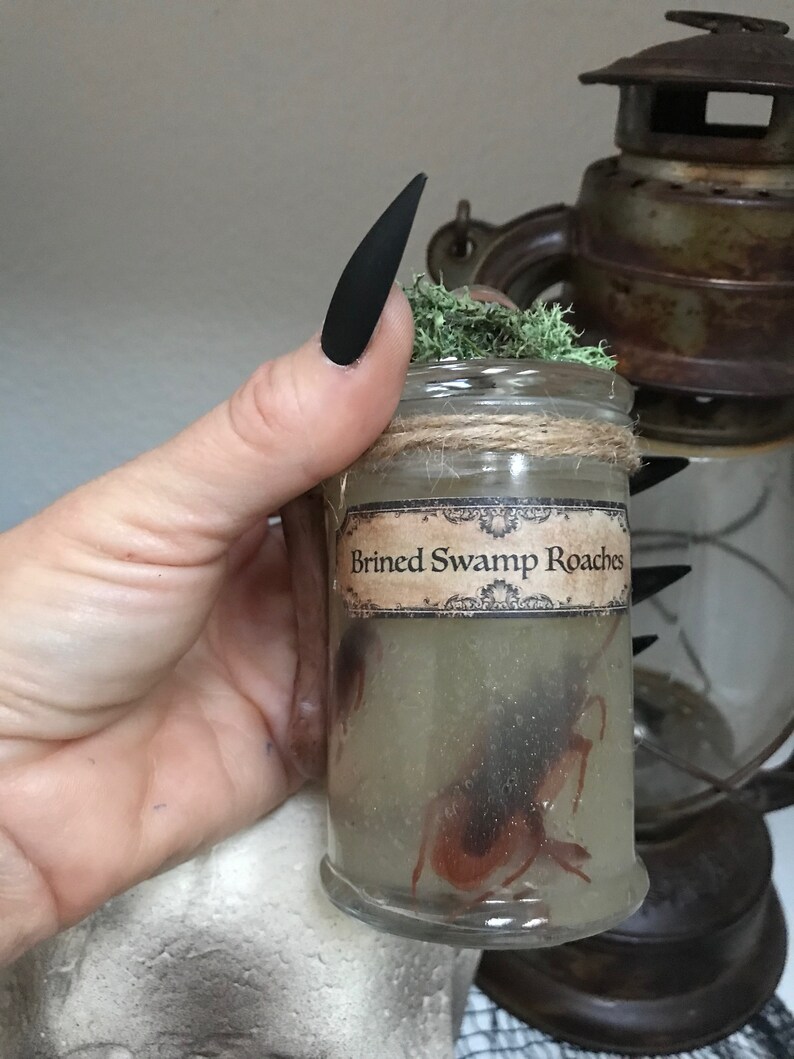 Brined Swamp Cockroaches / Potion Ingredients / Halloween Apothecary