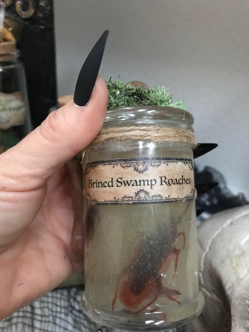 Brined Swamp Cockroaches / Potion Ingredients / Halloween Apothecary