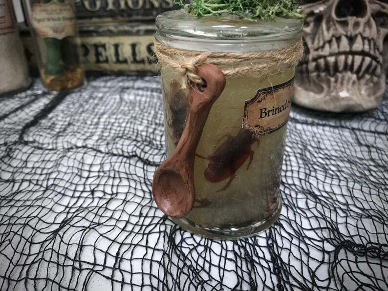 Brined Swamp Cockroaches / Potion Ingredients / Halloween Apothecary