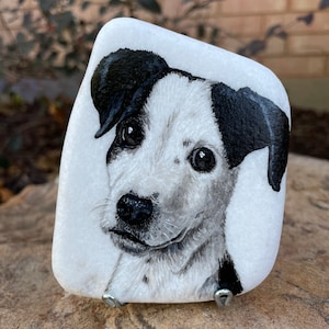 Custom Small Pet Portrait