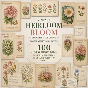 Pode incluir: Uma coleção de ilustrações botânicas vintage e designs de pacotes de sementes com imagens florais, etiquetas de texto e notas científicas. O conjunto inclui 100 imagens JPG e PNG rotuladas como Vintage Heirloom Bloom Specimen Archive.
