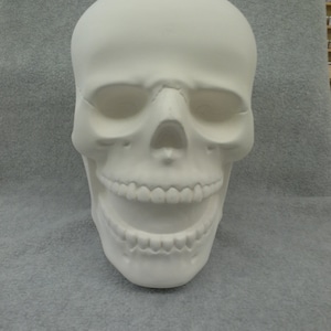 Ceramic Skull (unfinished)