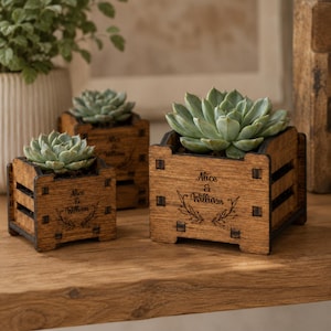 May include: Three square wooden planters of varying sizes, each containing a green succulent. The dark wood boxes feature a slatted design and are engraved with the text Alice & Williams above a decorative leaf motif on the front panel.