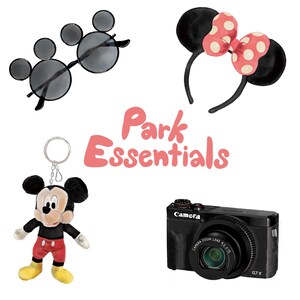 Park Essentials - Print