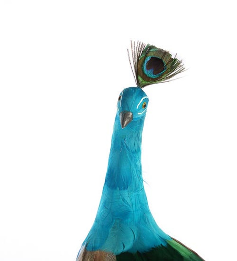 Rustic Christmas PEACOCK Tree Topper Peacock Ornament Decoration Feather Bird Woodland French Country Centerpiece Wreath