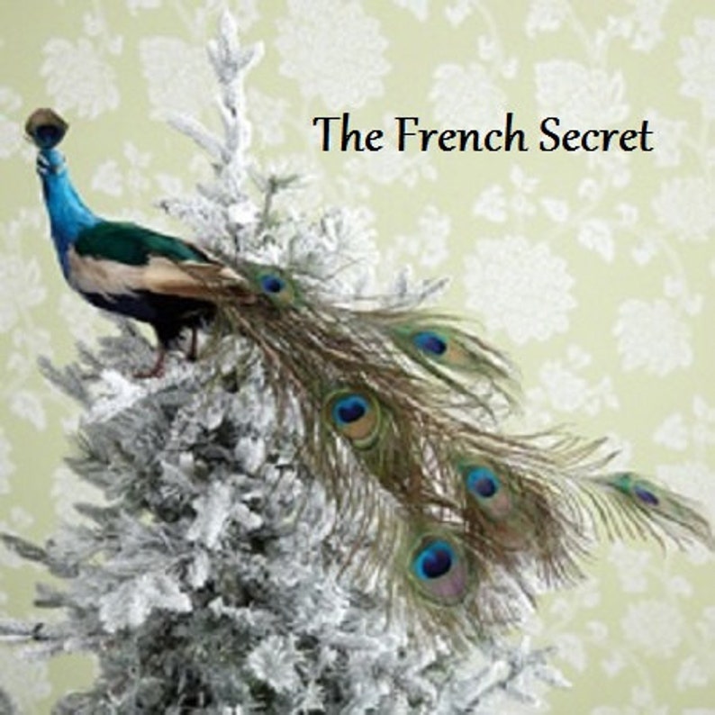 Rustic Christmas PEACOCK Tree Topper Peacock Ornament Decoration Feather Bird Woodland French Country Centerpiece Wreath