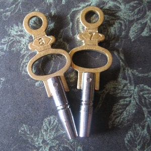 Numbered Pocket Watch Keys