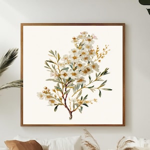 Puede incluir: Una impresión botánica enmarcada con una ilustración en acuarela de flores blancas con centros amarillos y hojas verdes. La obra de arte está enmarcada en un marco de madera marrón. La impresión se muestra sobre un salón.