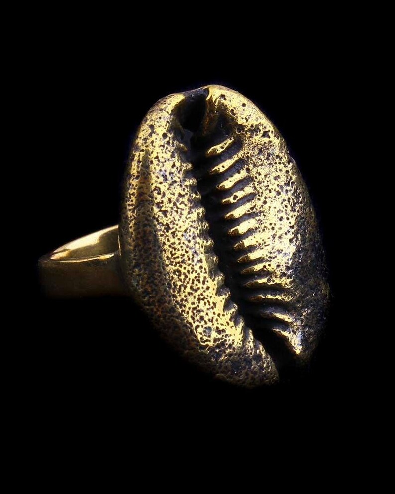 Cowrie Shell Ring Shell Ring Seashell Ring Shell Jewelry Etsy