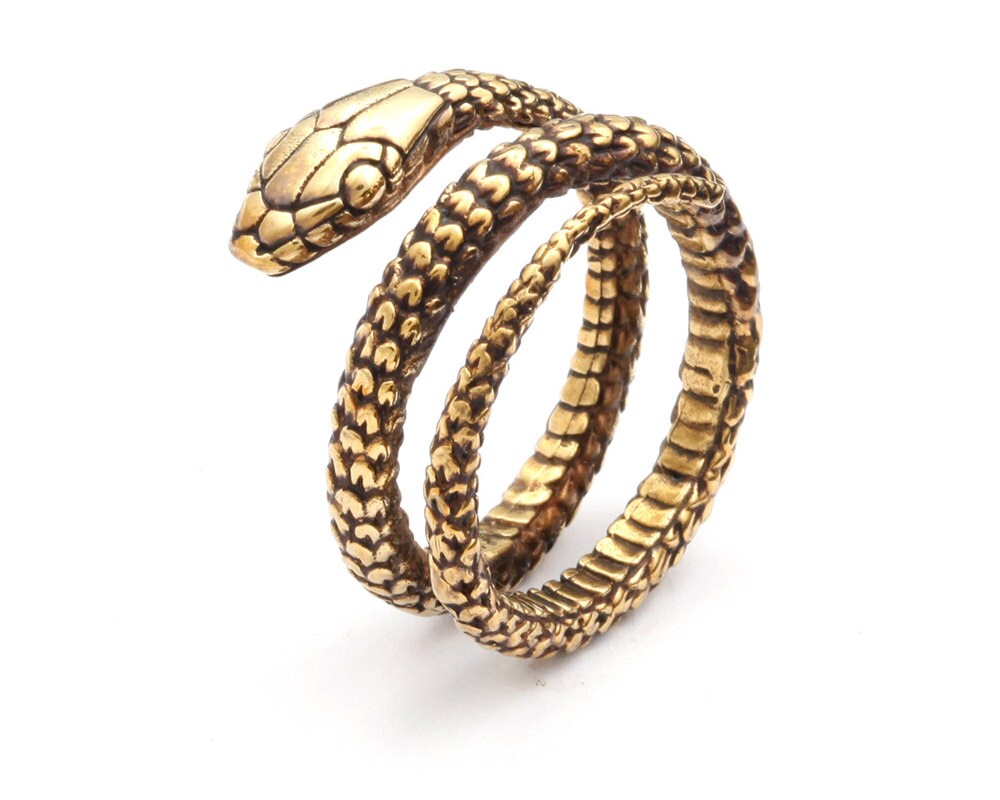 Snake Weights Ouroboros Earrings Gauged Earrings Brass Ear - Etsy