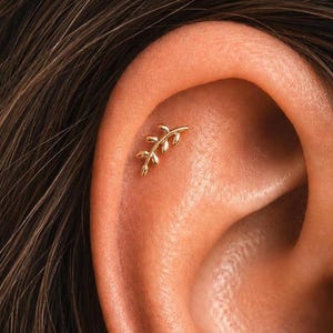 May include: A gold-toned ear piercing stud shaped like a small branch with multiple leaves. The jewelry is positioned in the upper cartilage area of the ear, featuring a polished metallic finish and a delicate, slender design with a central stem.