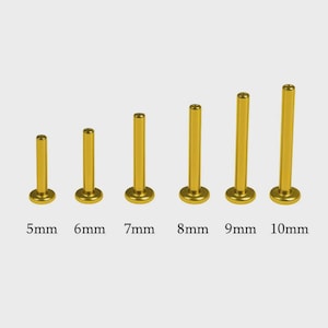 Op de afbeelding: Zes goudkleurige metalen studs met platte achterkant op een rij, elk met een verschillende steellengte. De lengtes staan onder elke stud aangegeven als 5mm, 6mm, 7mm, 8mm, 9mm en 10mm. Deze cilindrische bevestigingsmiddelen hebben een ronde voet.