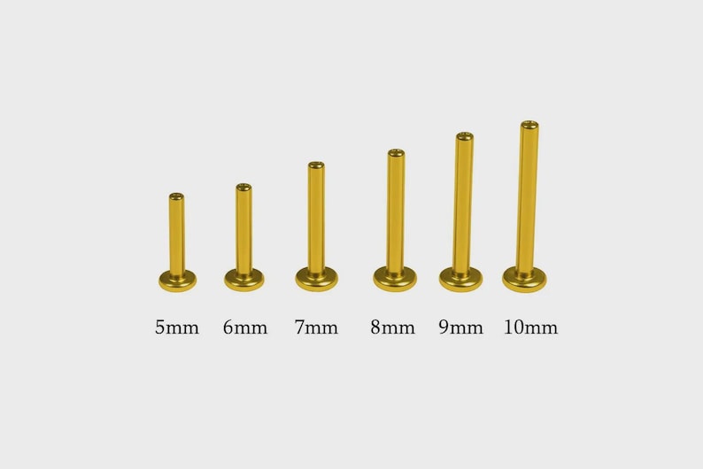 Op de afbeelding: Zes goudkleurige metalen studs met platte achterkant op een rij, elk met een verschillende steellengte. De lengtes staan onder elke stud aangegeven als 5mm, 6mm, 7mm, 8mm, 9mm en 10mm. Deze cilindrische bevestigingsmiddelen hebben een ronde voet.