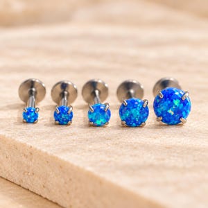 May include: Five labret stud earrings arranged in a row, each featuring a round, vibrant blue opal cabochon set in a silver-toned metal prong setting. The studs vary in size, increasing from left to right, with flat circular backings.