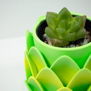 Green and Yellow Ombre Leafy Planter Pot