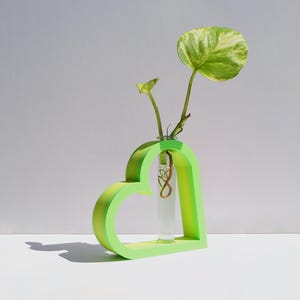 Könnte beinhalten: Eine limettengrüne, herzförmige Vase mit einer Pflanze mit einem großen, bunten Blatt. Die Vase hat ein klares Glasröhrchen für den Stiel und die Wurzeln der Pflanze. Der Hintergrund ist hellgrau.