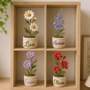 May include: Four crocheted flower arrangements in small woven pots, each with a different flower type and color. The pots are labeled with names: Lisa, Andrew, Emma, and Olivia. The flowers include daisies, blue delphiniums, purple daisies, and red poinsettias.