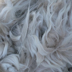 May include: Close-up of a pile of white and gray wool fibers. The fibers are soft and fluffy, and they are tangled together in a random pattern.