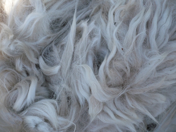 Raw Alpaca Fiber - Suri -  Yarn, Spinning, Felting, Crafts, Rugs, Dolls, Rovings
