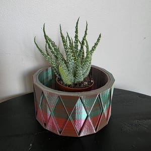May include: A green succulent plant in a decorative, geometric planter. The planter has a diamond pattern with red, green, and blue hues. The plant is in a small brown pot, set inside the larger, patterned container.