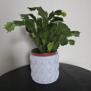 Geometric Plant Pot: 3D Printable Planter - STL OBJ SVG Files