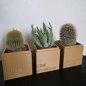 May include: Three potted cacti in tan square planters. The planters have humorous phrases: "WATER ME, YOU COWARD," "IF I DIE, IT'S YOUR FAULT," and "KINDA PARCHED, NOT GONNA LIE." The cacti vary in shape and color.