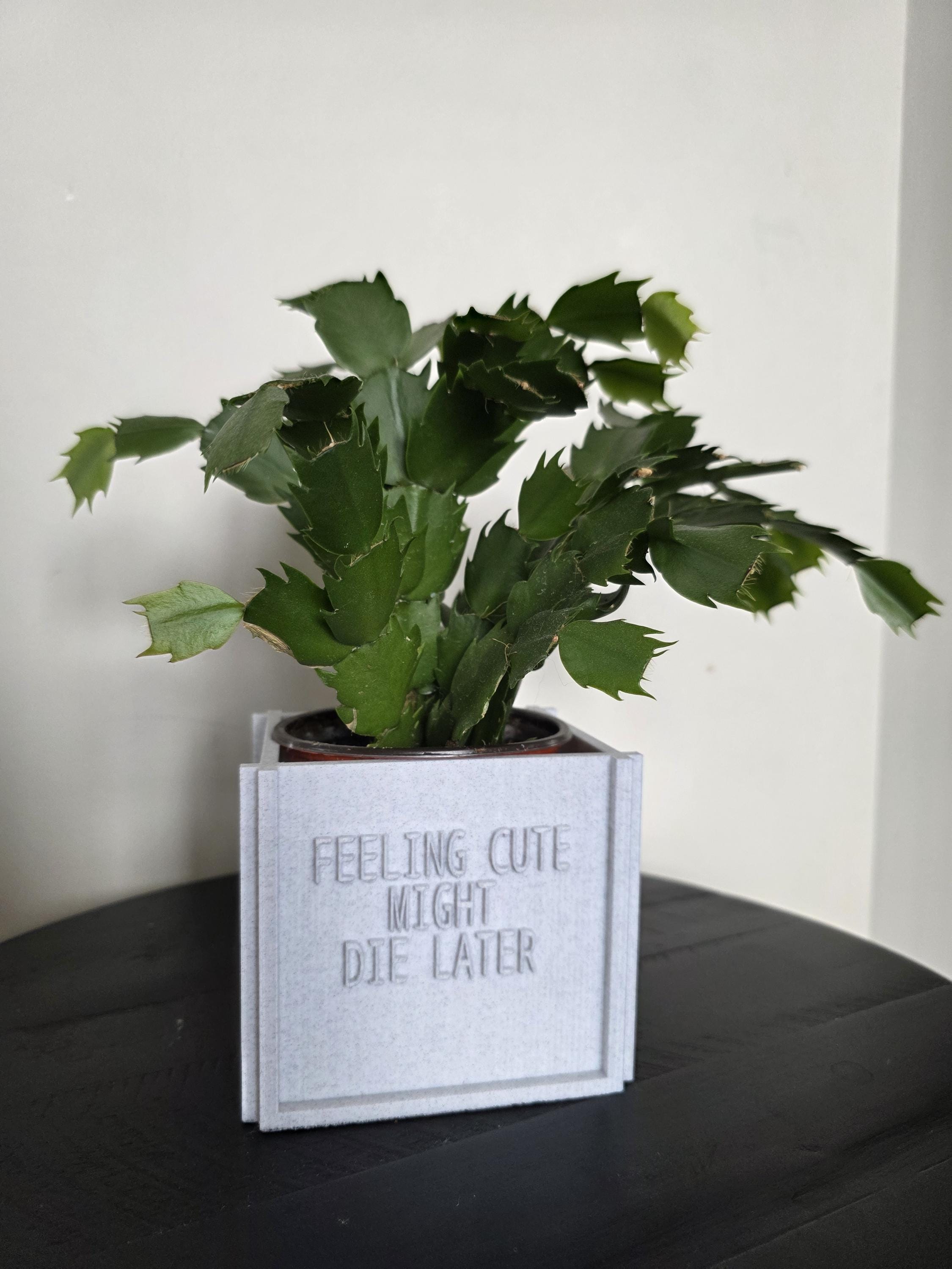 Humor indoor plants - Etsy.de