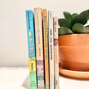 Vintage Boy&#39;s Book Bundle vintage homeschool free reads Living Books for Boys Children&#39;s Classics Books for Boys gift vintage books