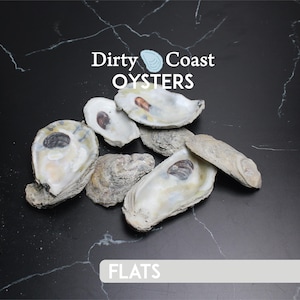 100 Gulf Coast Oyster Shell Flats (2-3&quot;) - Sun-Bleached Craft Shells