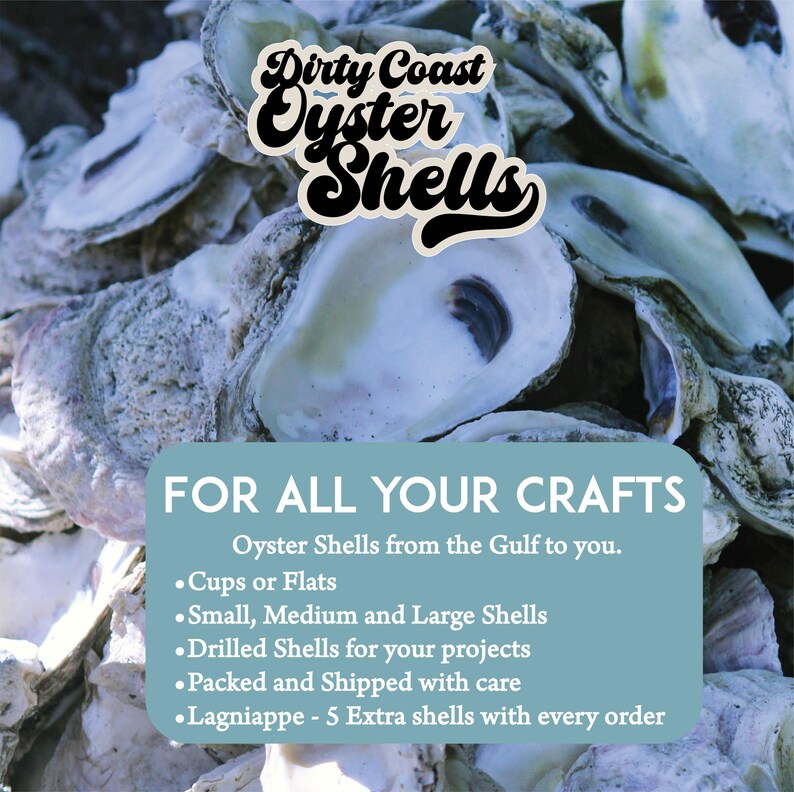 50 Gulf Coast Oyster Shell Flats (3-4