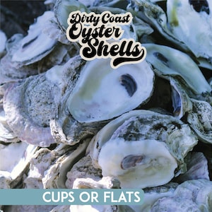 May include: A pile of oyster shells with the text "Dirty Coast Oyster Shells" in a black and white font. The shells are various sizes and shapes, with a mix of white, gray, and brown tones. The text "CUPS OR FLATS" is at the bottom.