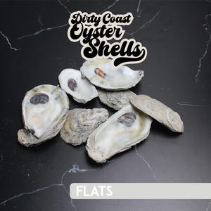 May include: A collection of oyster shells, some open, displaying a range of colors from off-white to gray, with dark brown interiors. The text "Dirty Coast Oyster Shells" is displayed above the shells, and the word "FLATS" is at the bottom.