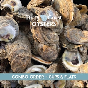 Gulf Coast Oyster Shell Mix: Sun-Bleached Craft Shells (2-4&quot;)