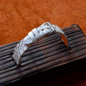 Puede incluir: Una correa de reloj blanca con un patrón texturizado similar al de un reptil. La correa tiene una hebilla de color plateado y se muestra sobre una superficie de madera oscura. El interior de la correa es de color naranja claro.