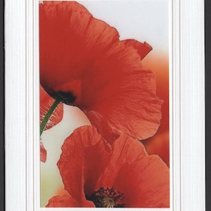 MINI Greeting Card, Photo Card, Note Card, Blank Inside Card, FLORAL PHOTOGRAPHY, Poppies, Handcrafted, Love  Card