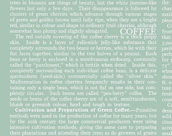 Coffee Chalk Text Aqua - C11039 -by J. Wecker Frisch for Riley Blake Designs